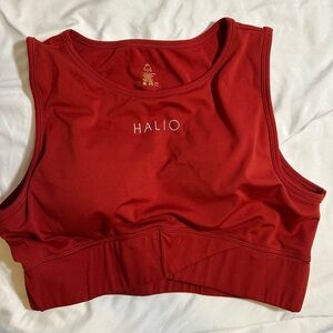 HALIO | Burgundy Sports Bra | Large